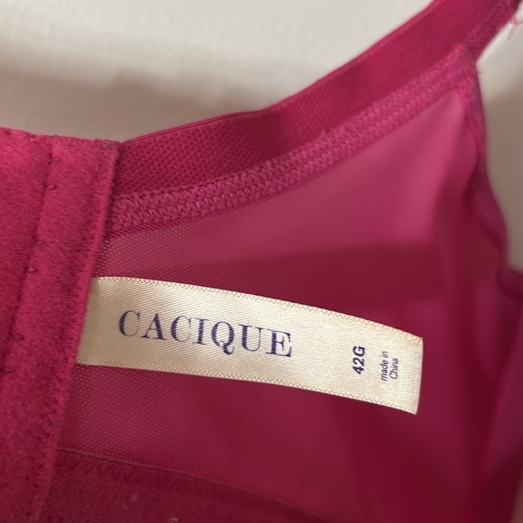 Cacique Pink Tan Overall Floral Lace Full Coverage Bra Adjustable Sexy Size 42G - Picture 4 of 4